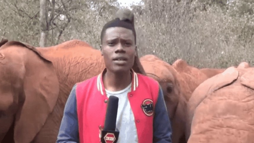 Elefante faz cócegas ao vivo em jornalista