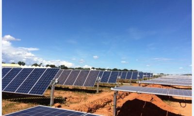 Coalizão Energia Limpa é lançada no Brazil Hub, e Nordeste mostra a força da energia eólica