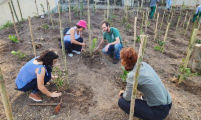 Pela 3ª vez consecutiva, Prefeitura do Rio recebe reconhecimento como líder global em transparência e ação climática