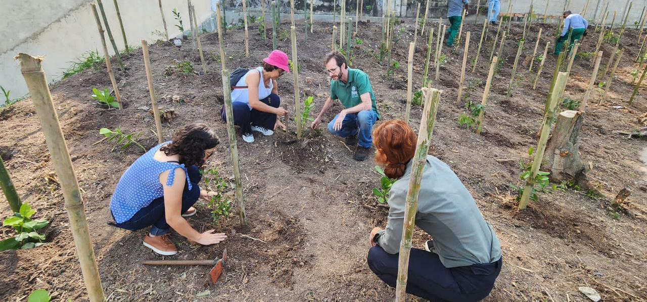 Pela 3ª vez consecutiva, Prefeitura do Rio recebe reconhecimento como líder global em transparência e ação climática