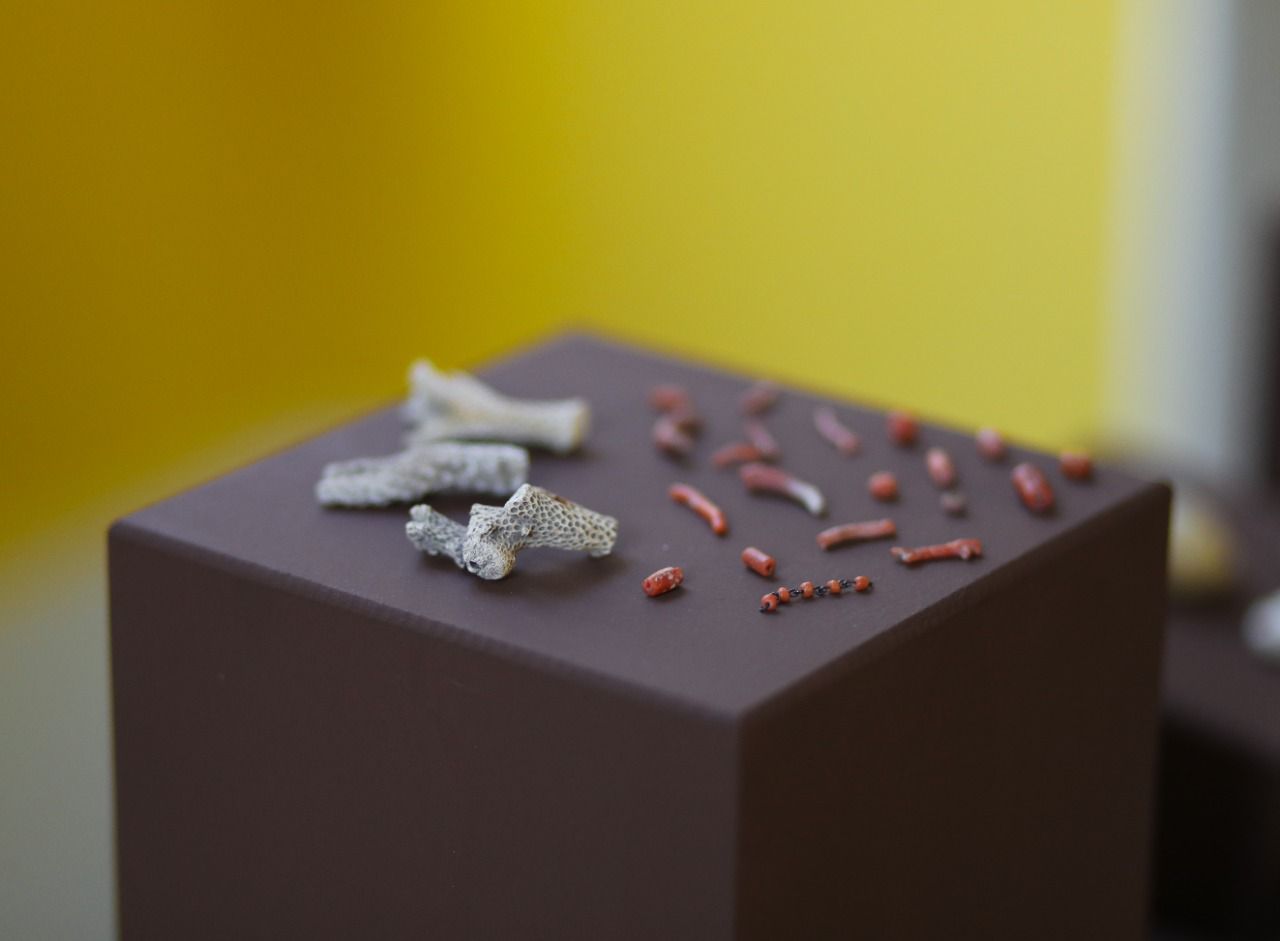 Museu da História e da Cultura Afro-Brasileira recebe mostra inédita com 180 achados arqueológicos de obras do Porto