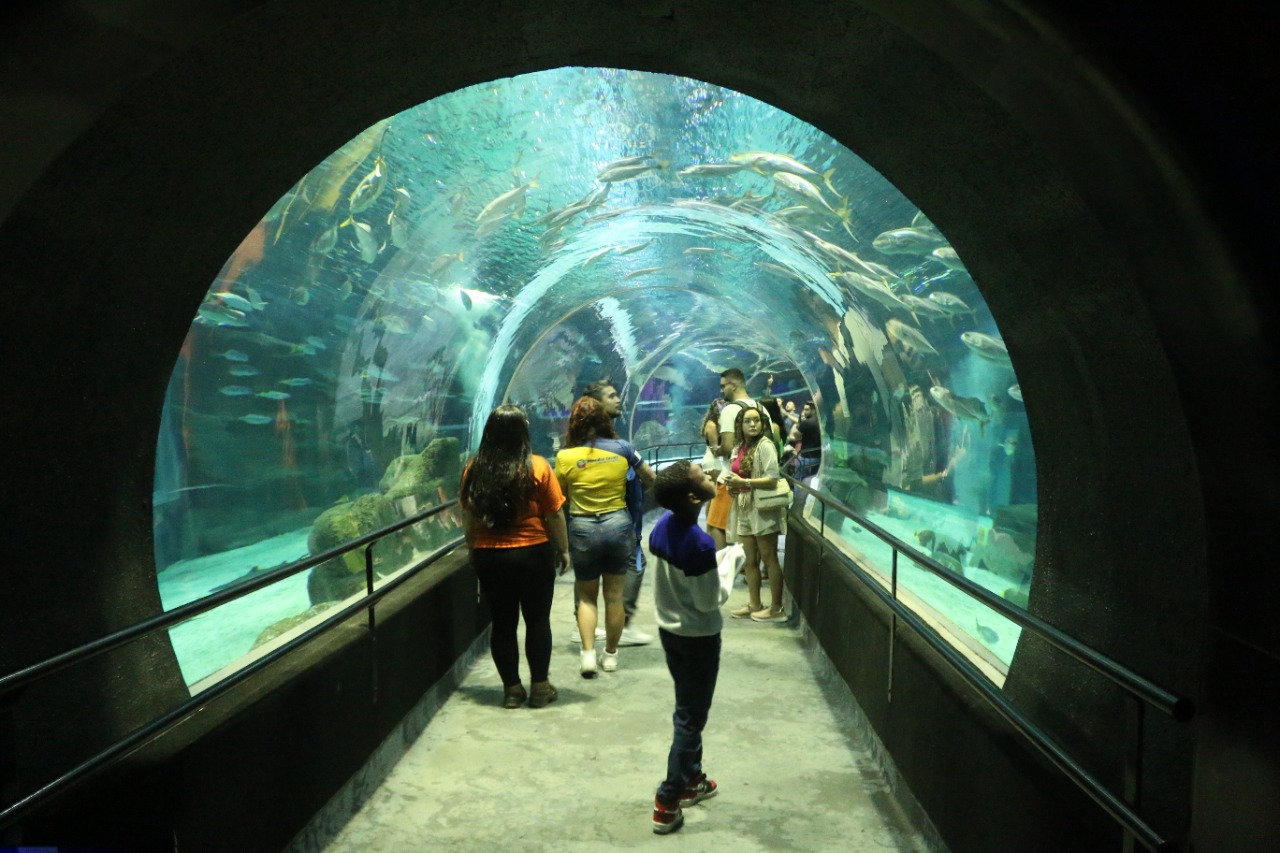 Visita ao AquaRio - Thiago Guain / Prefeitura do Rio