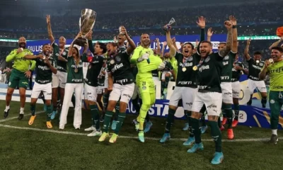 Palmeiras campeão paulista