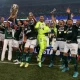 Palmeiras campeão paulista