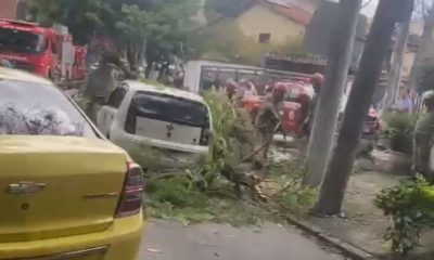 Árvore atinge carro em Jacarepaguá