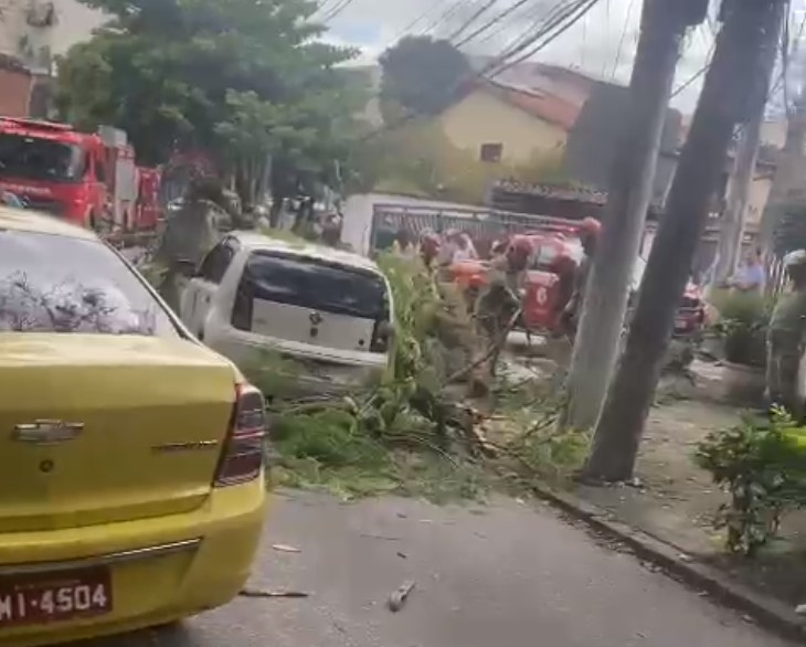 Árvore atinge carro em Jacarepaguá