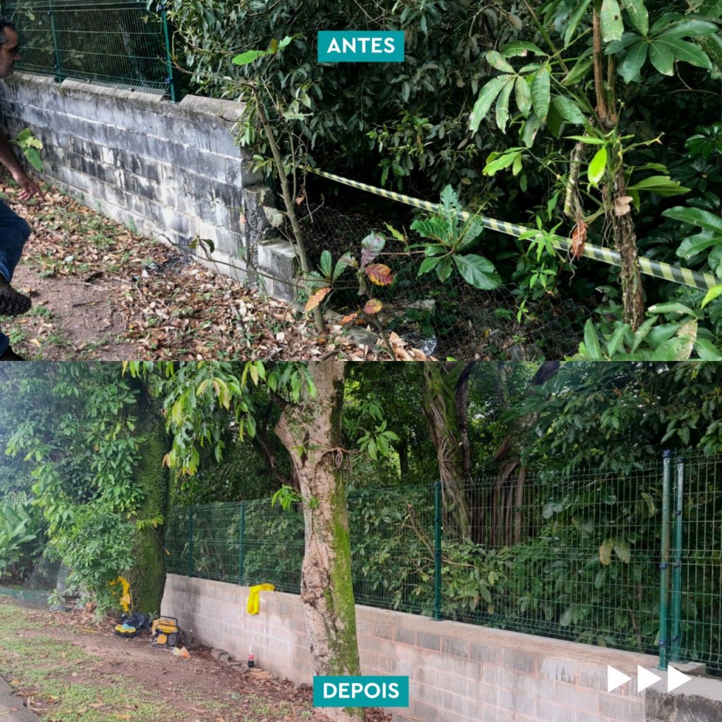 Após 12 anos, Parque Marapendi volta a ganhar cerca para proteção da fauna e da flora