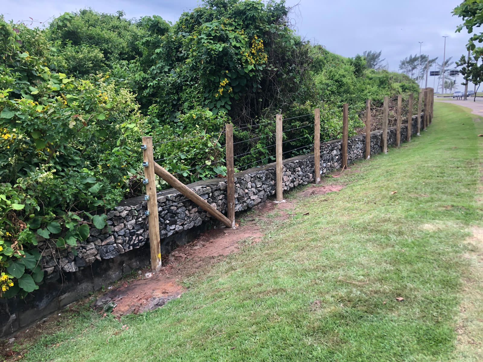 Após 12 anos, Parque Marapendi volta a ganhar cerca para proteção da fauna e da flora