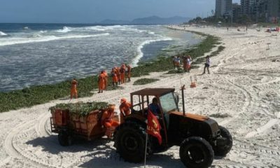 Comlurb remove mais de 300 toneladas de gigogas das areias da praia da Barra da Tijuca