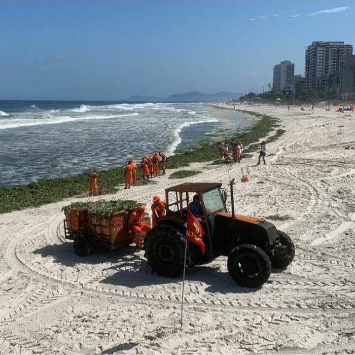 Comlurb remove mais de 300 toneladas de gigogas das areias da praia da Barra da Tijuca