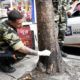 Prefeitura e Polícia Civil investigam envenenamento de árvores no Centro de Nova Iguaçu