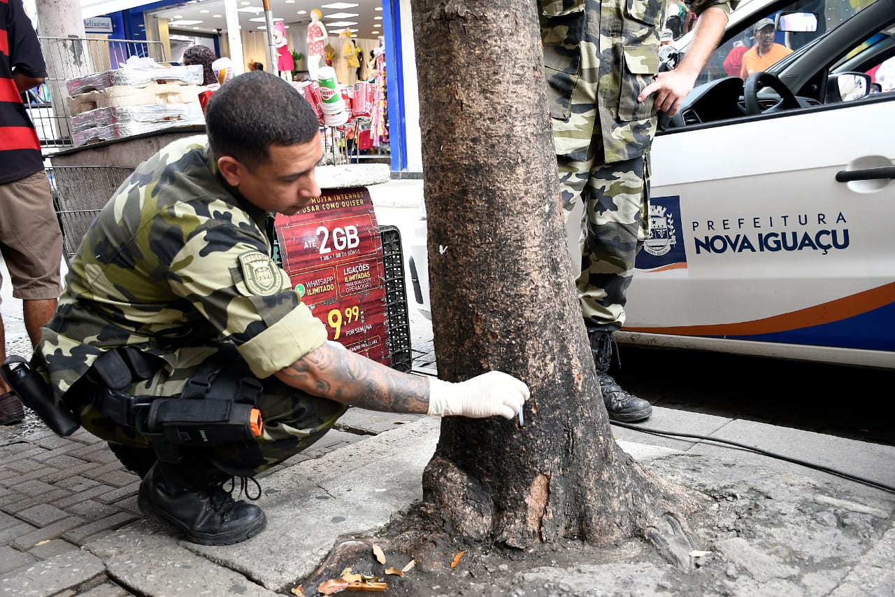 Prefeitura e Polícia Civil investigam envenenamento de árvores no Centro de Nova Iguaçu
