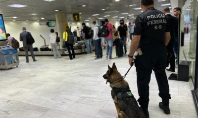 Polícia Federal deflagra operação no Aeroporto Santos Dumont (Foto: Divulgação)