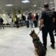 Polícia Federal deflagra operação no Aeroporto Santos Dumont (Foto: Divulgação)