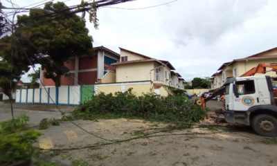 Árvore atinge muro de condomínio em Jacarepaguá após temporam atingir a região