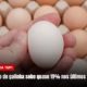 Preço do ovo sobe quase 19% em um ano Sentinelas da Tupi Especial