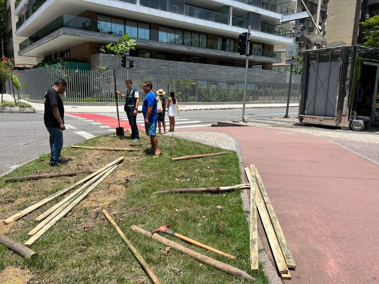 Prefeitura planta árvore após remoção na Praça Antero de Quental, no Leblon, na Zona Sul do Rio (Foto: Divulgação)