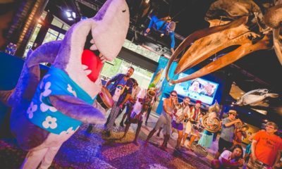 Folia no fundo do mar: Bailinho do 'Zé Tubarino' agita o AquaRio neste carnaval
