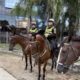 Projeto de Lei Federal 'Cavalos não são armas' pretende proibir uso de equinos em operações policiais