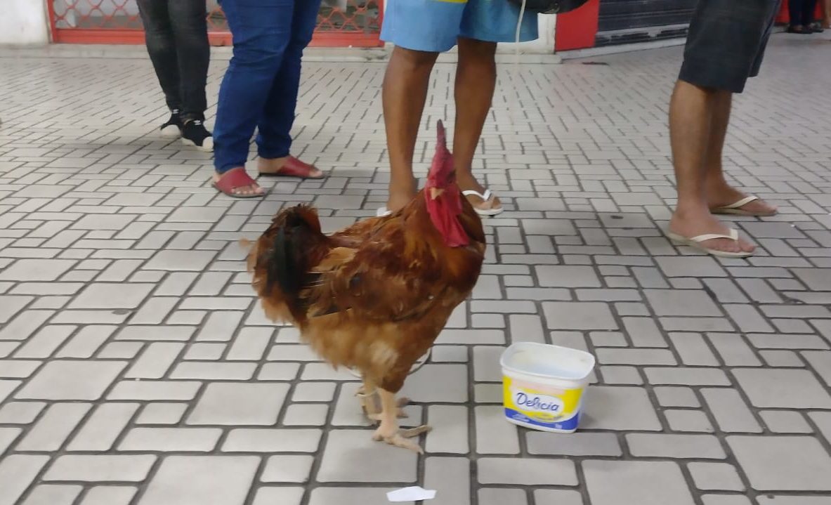 Galo Jorge na fila para cadastro do Bilhete Único Intermunicipal na Central do Brasil