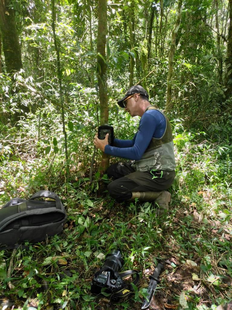 Parque dos Três Picos recebe armadilhas fotográficas para monitoramento da fauna, em Nova Friburgo