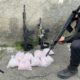 PM faz operação em comunidade da Baixada e prende mais de 20 criminosos (Foto: Divulgação)