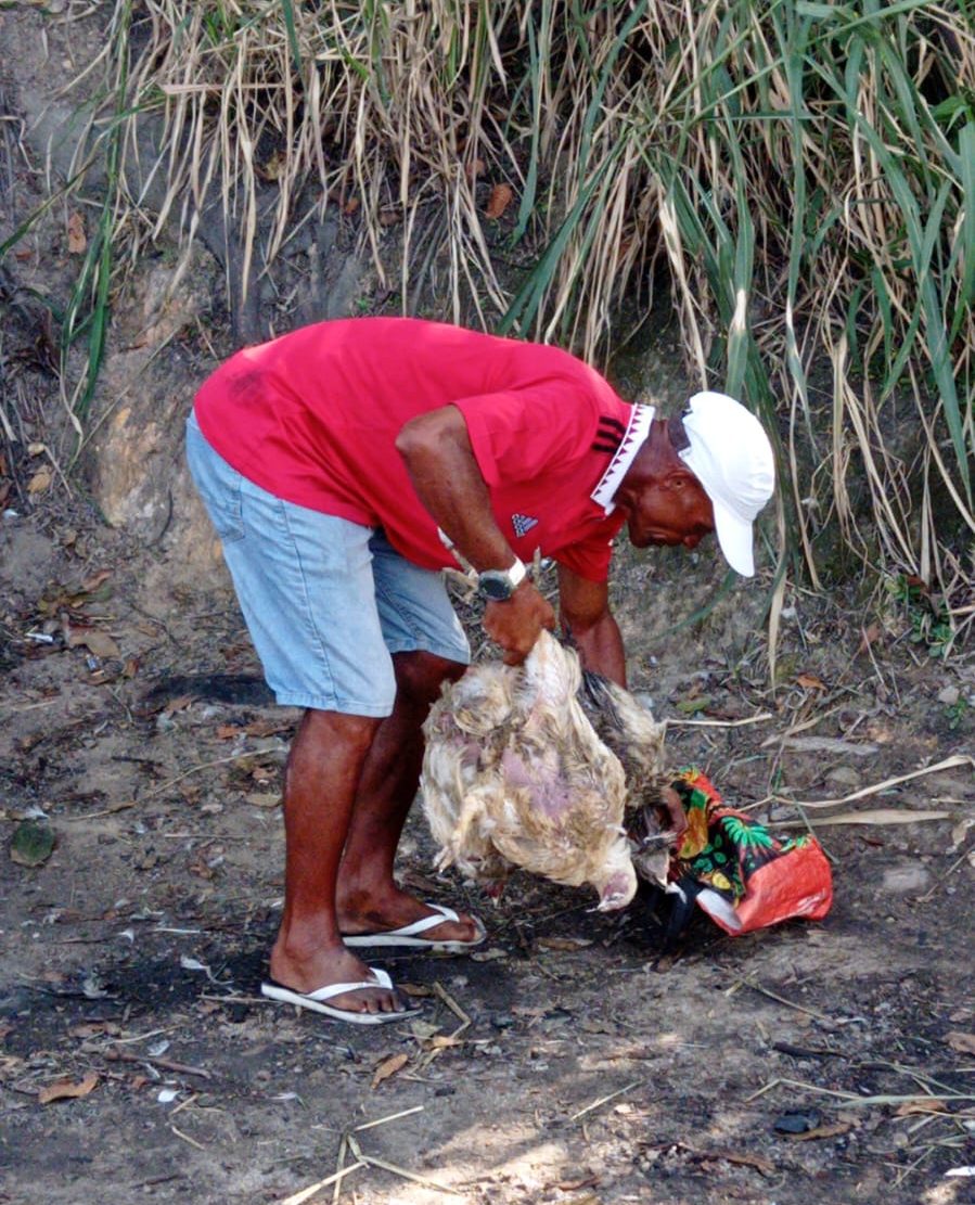 Morador de Jacarepaguá com uma galinha após uma carreta que transportava os animais tombar na região