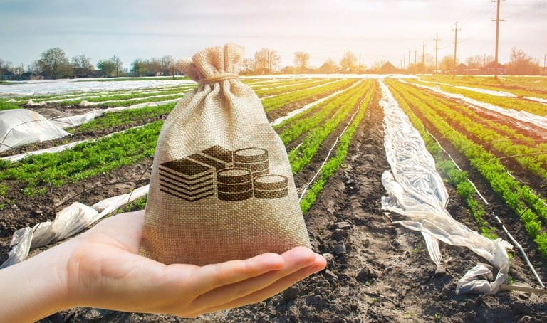 Boletim mostra crescimento das finanças privadas no setor agropecuário (Foto: Divulgação)