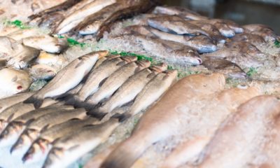 Aumento nas vendas de pescado durante a Quaresma podem aquecer os negócios (Foto: Freepik/ Divulgação)