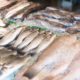 Aumento nas vendas de pescado durante a Quaresma podem aquecer os negócios (Foto: Freepik/ Divulgação)