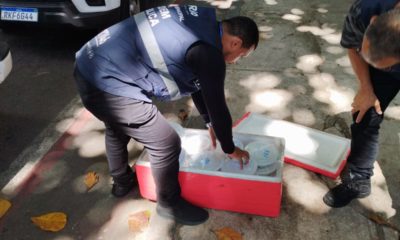 SEOP apreende 240 quentinhas vendidas ilegalmente na Lagoa e no Santos Dumont (Foto: Divulgação)