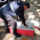 SEOP apreende 240 quentinhas vendidas ilegalmente na Lagoa e no Santos Dumont (Foto: Divulgação)