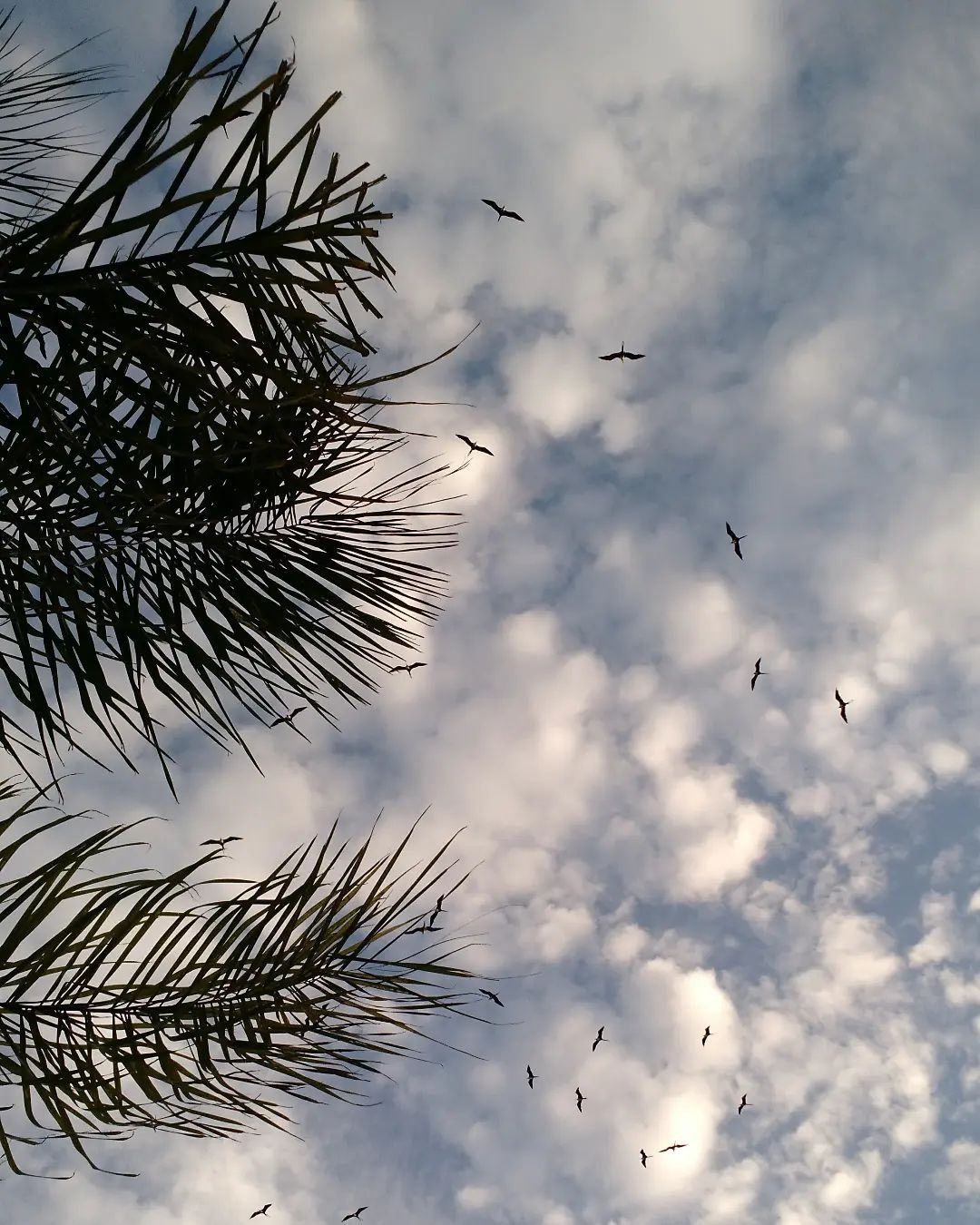 Veja a previsão do tempo para este domingão, no Rio (Foto: santanaalexus/ Divulgação: COR)