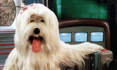 Priscila era a personagem mais famosa do TV Colosso