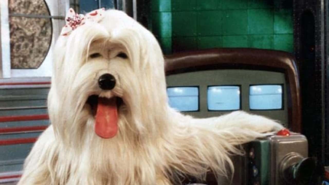 Priscila era a personagem mais famosa do TV Colosso