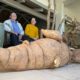 Otávio e Wilma Hoeppner com o pé gigante de mandioca