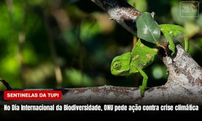 Dia Internacional da Biodiversidade: O que você faz de positivo pelo planeta? (Foto: Rafaela Lima/ Super Rádio Tupi)