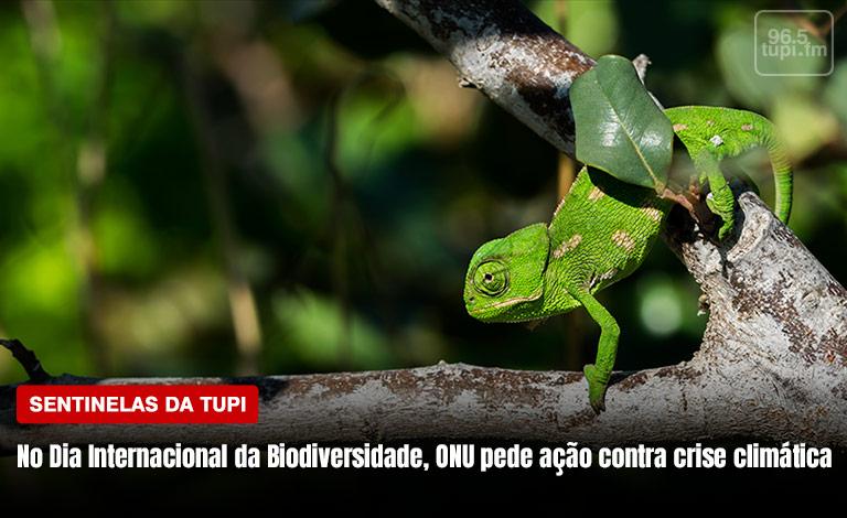 Dia Internacional da Biodiversidade: O que você faz de positivo pelo planeta? (Foto: Rafaela Lima/ Super Rádio Tupi)