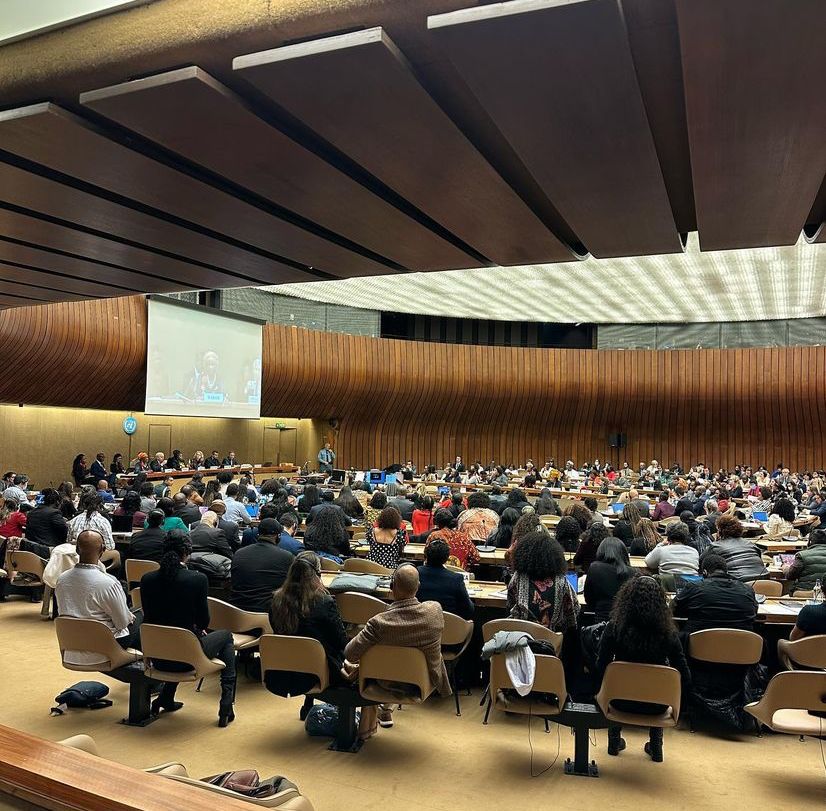 Projeto SETA participará do Fórum Permanente de Afrodescendentes da ONU (Foto: Divulgação)