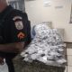 Drogas apreendidas que estavam sendo vendidas no Centro do Rio