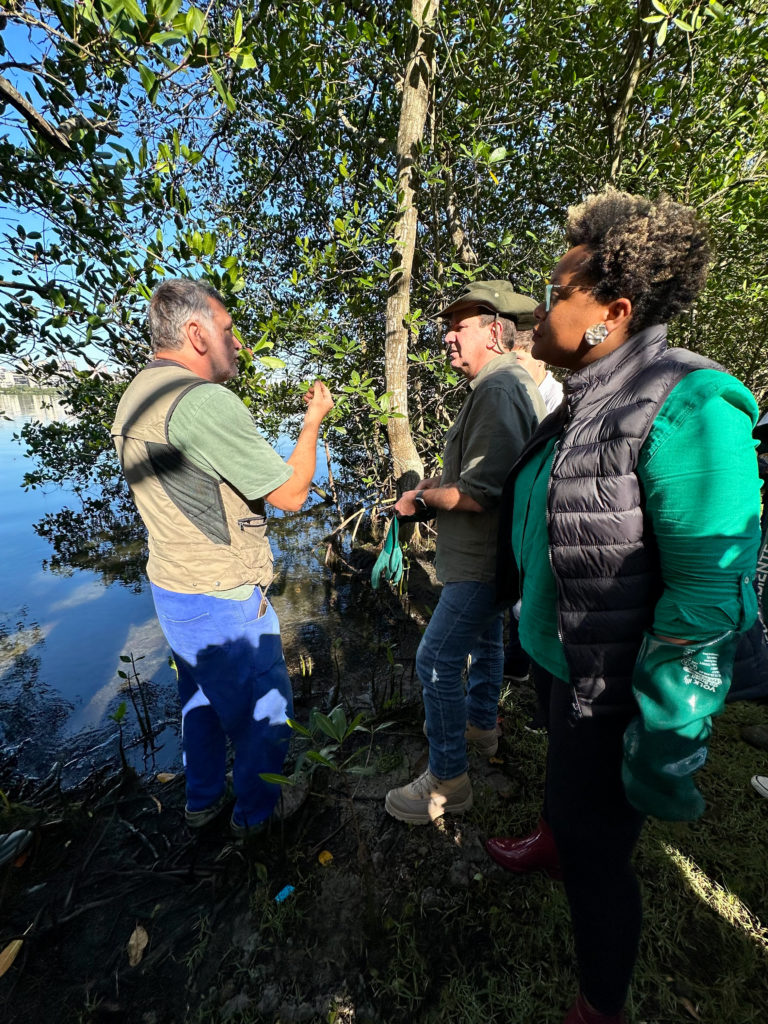 Prefeitura do Rio lança programa Guardiões dos Mangues, no Dia Mundial do Meio Ambiente