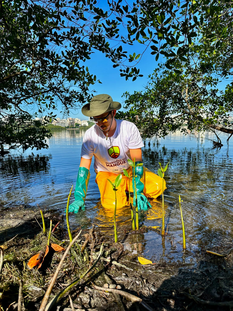 Prefeitura do Rio lança programa Guardiões dos Mangues, no Dia Mundial do Meio Ambiente