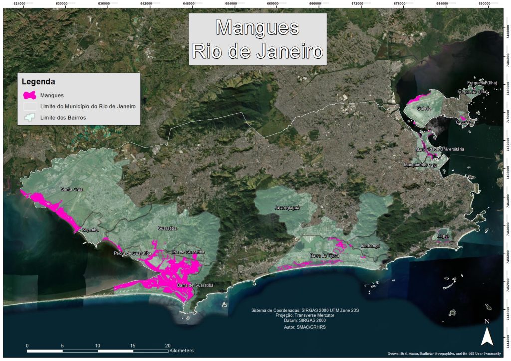 Prefeitura do Rio lança programa Guardiões dos Mangues, no Dia Mundial do Meio Ambiente