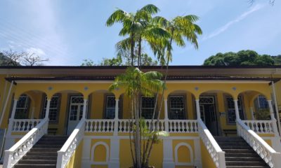 Escola Nacional Botânica Tropical, do Jardim Botânico do Rio, completa 22 anos (Foto: Divulgação)