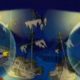 Viagem de Homer SImpson em submarino no fundo do mar
