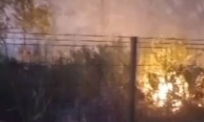 Incêndio em vegetação na Fazenda Modelo, em Guaratiba, pode ter sido criminoso