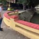 Mureta do Canal da Avenida Visconde de Albuquerque é revitalizada e em seguida vandalizada com pichação (Foto: Divulgação)