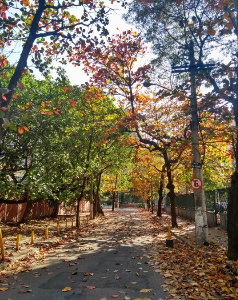 Veja a previsão do tempo para esta sexta, no Rio (Foto: da_central_pra_ca/ Divulgação)