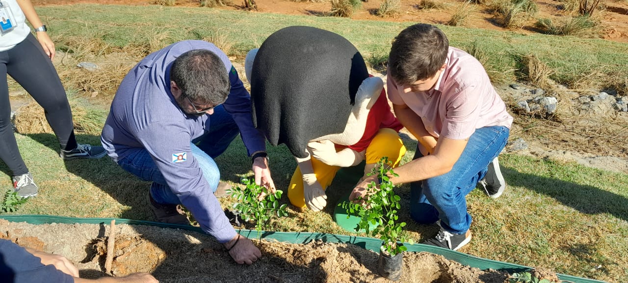 Plantio com a comunidade marca final da 1ª etapa do projeto de Naturalização da Lagoa Rodrigo de Freitas (Foto: Divulgação)