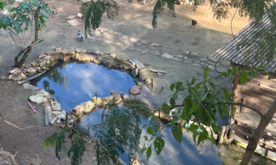 Lago artificial criado por morador do bairro Mutondo para evitar infiltração em casa